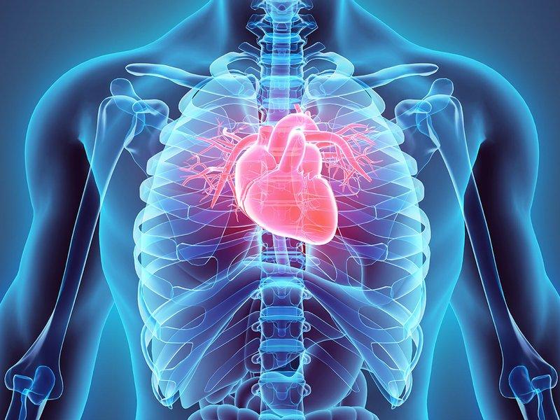 Co warto wiedzieć o chorobach serca i jak można im zapobiegać?