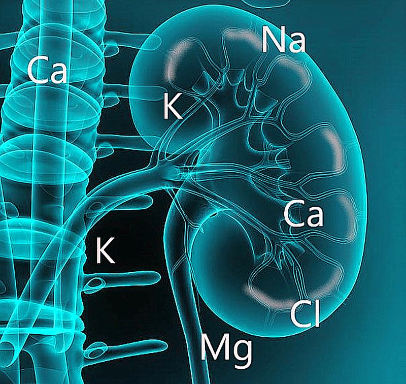 Rola elektrolitów w sporcie