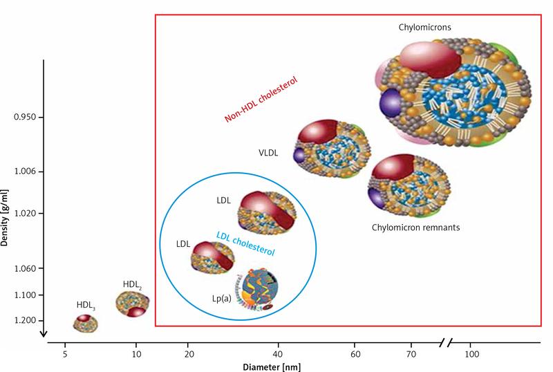 Hdl – Wartościowy Czy Zawodny: Odkrywamy Prawdziwą Naturę Dobrej Cholesterolu