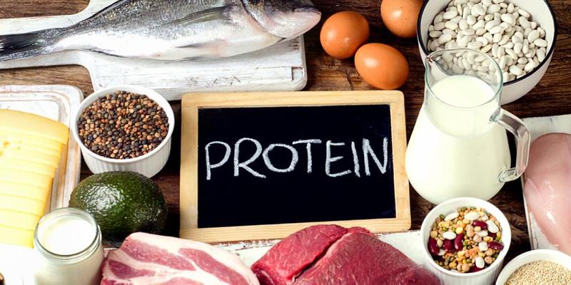 Źródła białka w diecie