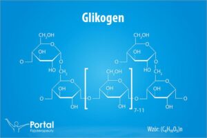 Jak trening siłowy wpływa na potrzebę uzupełniania glikogenu?