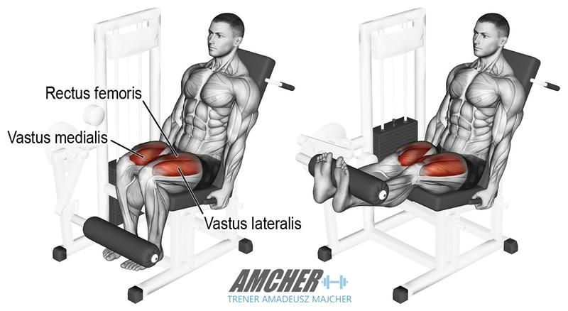 Plan treningowy na nogi