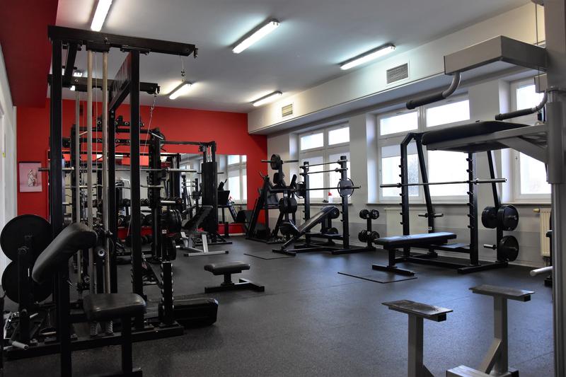 Kogo można spotkać na siłowni? Odkrywamy różnorodność fitnessowego świata!