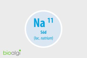 Nie obawiaj się sodu – klucz do sukcesu w ciężkim treningu
