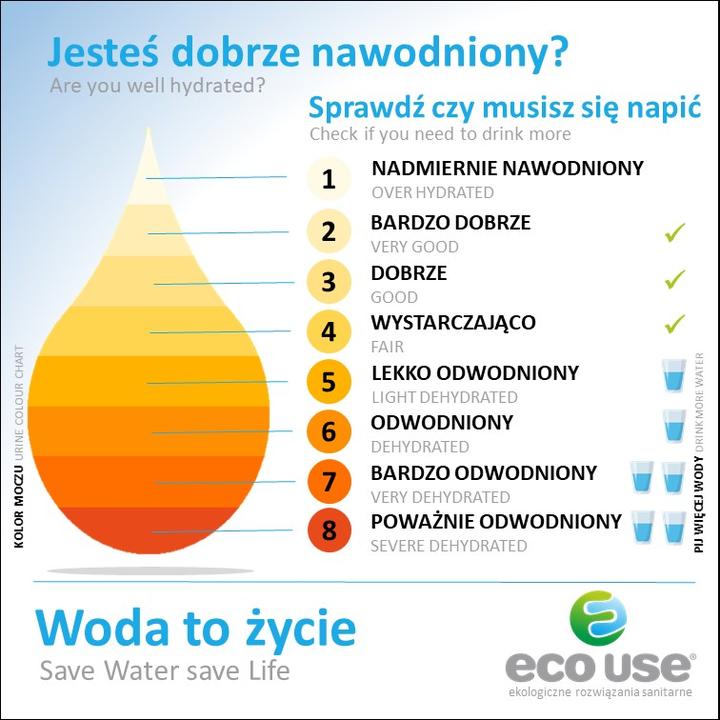 Kolor moczu a zdrowie