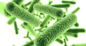 Wszyscy siedzimy na bakteriologicznej bombie – jak unikać zagrożeń dla zdrowia?